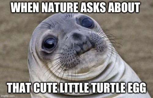When nature asks.jpg