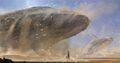 Desert whale.jpg