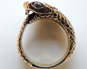 un anello magico dalle sembianze di Ouroboros, che gli permette di cambiare le sue sembianze o la sua razza una volta al giorno